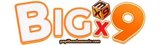 BIGX9-logo